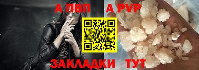 PSILOCYBIN Можга