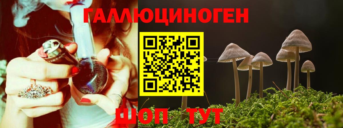 Псилоцибиновые грибы прущие грибы  Вход с VPN  Волгоград 